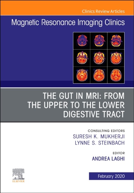 MR Imaging of the Bowel, An Issue of Magnetic Resonance Imaging Clinics of