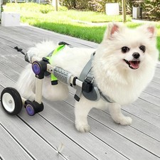 Adjustable Dog Wheelchair for Back Legs Mobility Support Lightweight -XS