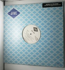 DR Ice Word To The Wise Feelin' Irie Vinyl Record