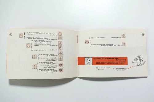 Flower Finder: Pocket Guide For Identifying 155 Wild Flowers 1955 - Picture 3 of 6