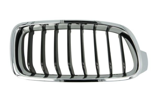Right BLIC 6502-07-0063996P Radiator Grille for BMW