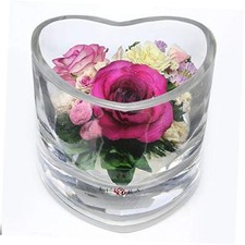  Long Lasting Roses in Sealed Glass Vase  Preserved Fresh Cut Rose  Unique