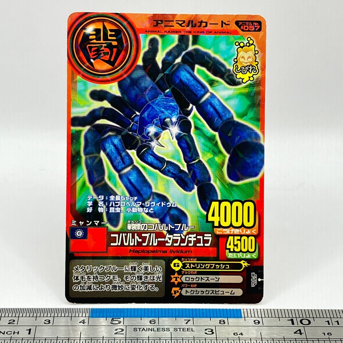 Cobalt Blue Tarantula Animal Kaiser A-057 AK Card Namco Bandai