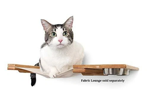 Wall mounted cat feeder sale