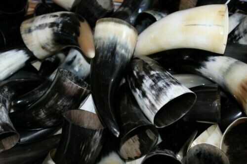 Drinking Horn 100 ml plus Viking Real Horn 100 pcs Set for Halloween party - Picture 3 of 6