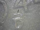 1944-D LINCOLN CENT RPM-007 D OVER D  NORTH  XF    CXZ