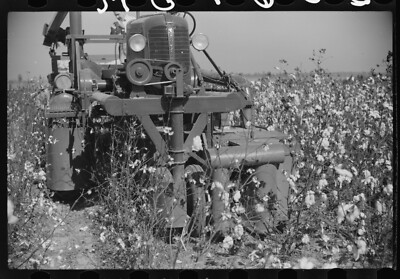 8'' x 10'' 1939 Photo Rust cotton picker in cotton field, Cloverdale Plantation