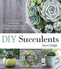 DIY Succulents: From Placecards to Wreaths, 35+ Ideas for Creative Projects with
