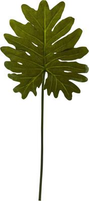 Set of 12  Selloum Philodendron Single Leaf Stems