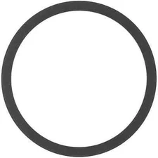 Engine Coolant Thermostat Seal-VIN: D CST 2391