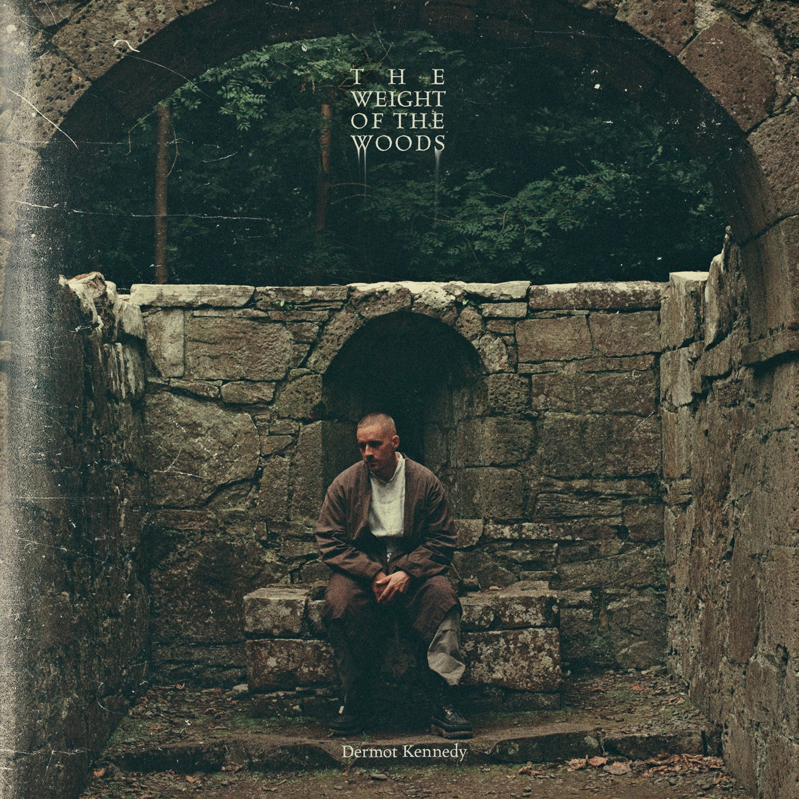 Dermot Kennedy The Weight of the Woods (Vinyl) 12