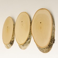 3 Pièces De Bouleau Plaque Trophée Pour Cerf Tronc D'Arbre Plaque AF 19cm