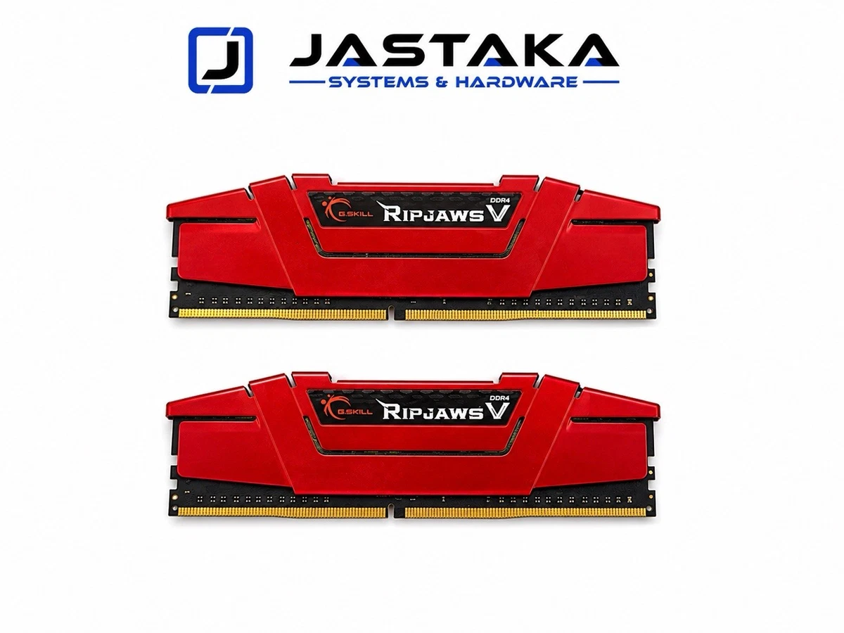 G. SKILL PC4-21300 (DDR4-2666) Bus Speed DIMM Computer Memory (RAM
