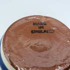 Bild 8 von 8