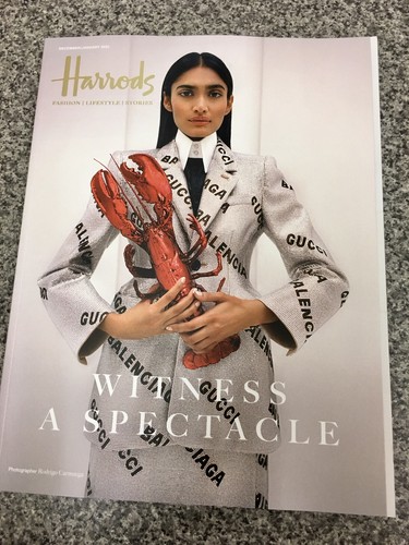 Ideals Christmas 2022 Magazine Harrods Magazine December January 2022 Uk Latest Edition Christmas Ideas -  New | Ebay