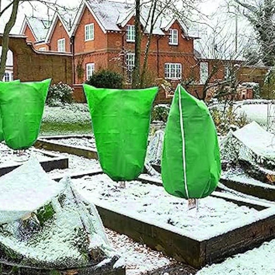 Frost proof Plant Cover 2pcs Pack for Tomato and Strawberry Plants eBay
