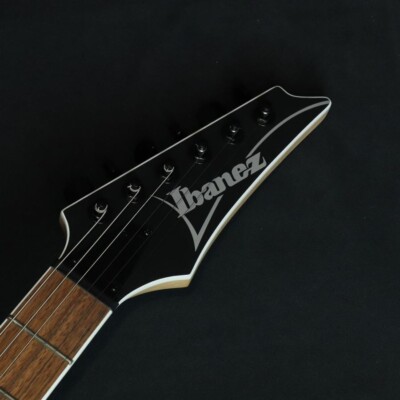 Ibanez Electric guitar RG421EX Black Flat | eBay