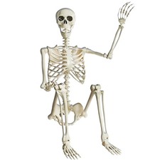 KVBXKBO 5.4FT Life Size Posable Halloween Skeleton Decorations, 5.4FT, Beige