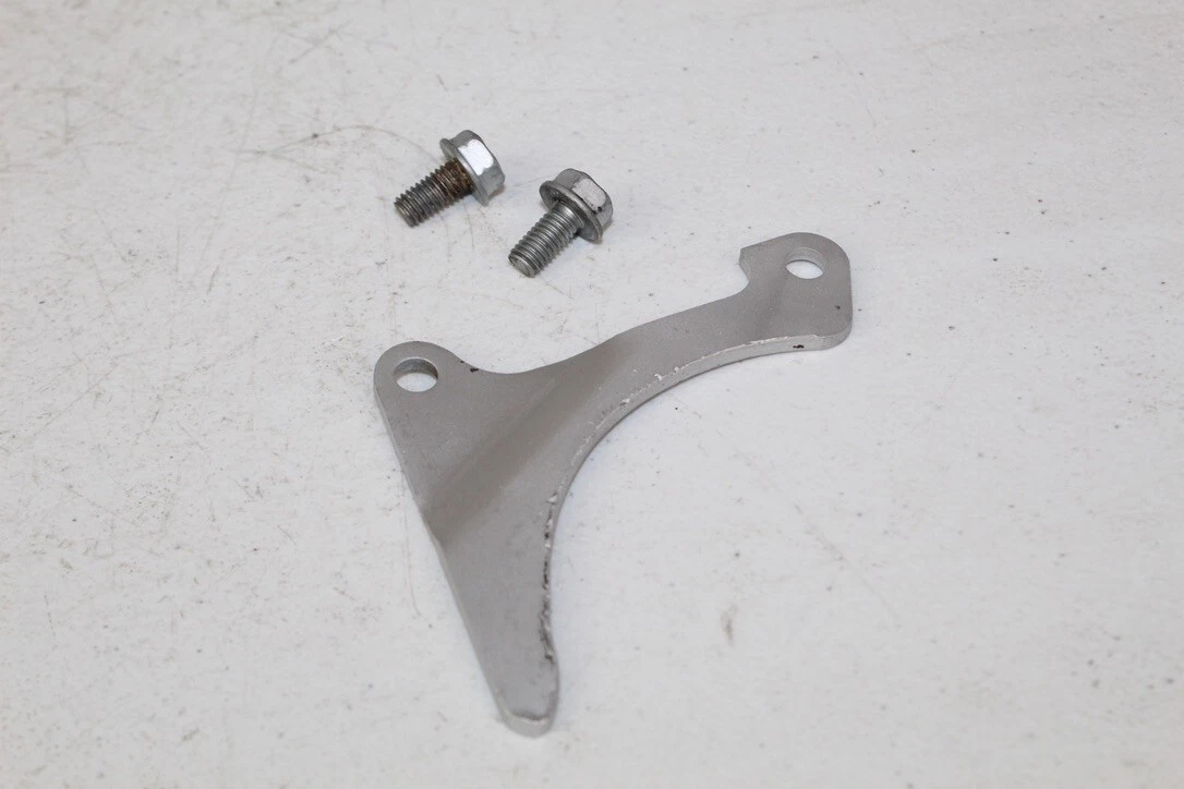 1994 - 2001 Kawasaki KX125 OEM Chain Guide Case Saver 12053-1325