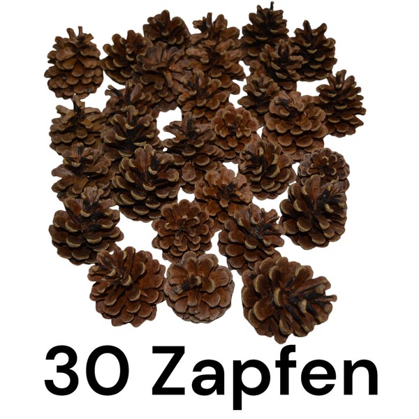 Tannenzapfen, Kiefernzapfen,Natur GroßE Zapfen 5-10Cm FüR Weihnachten, Deko Usw.-image
