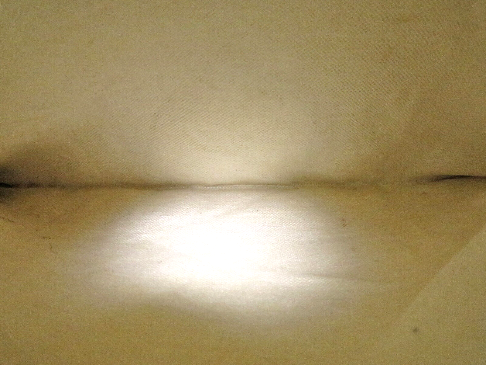 Picture 12 of 16