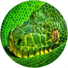 Slipmat Scratch Pad Felt any 12" Turntable LP DJ Record Player New SNAKE GREEN