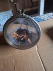 Old Vintage Antique Metal Flash Light  Lamp Lantern — photo 6