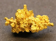 Gold specimen Crystallized Gold 0.7 Gram  Round Mtn. Mine  Nye Co. NV