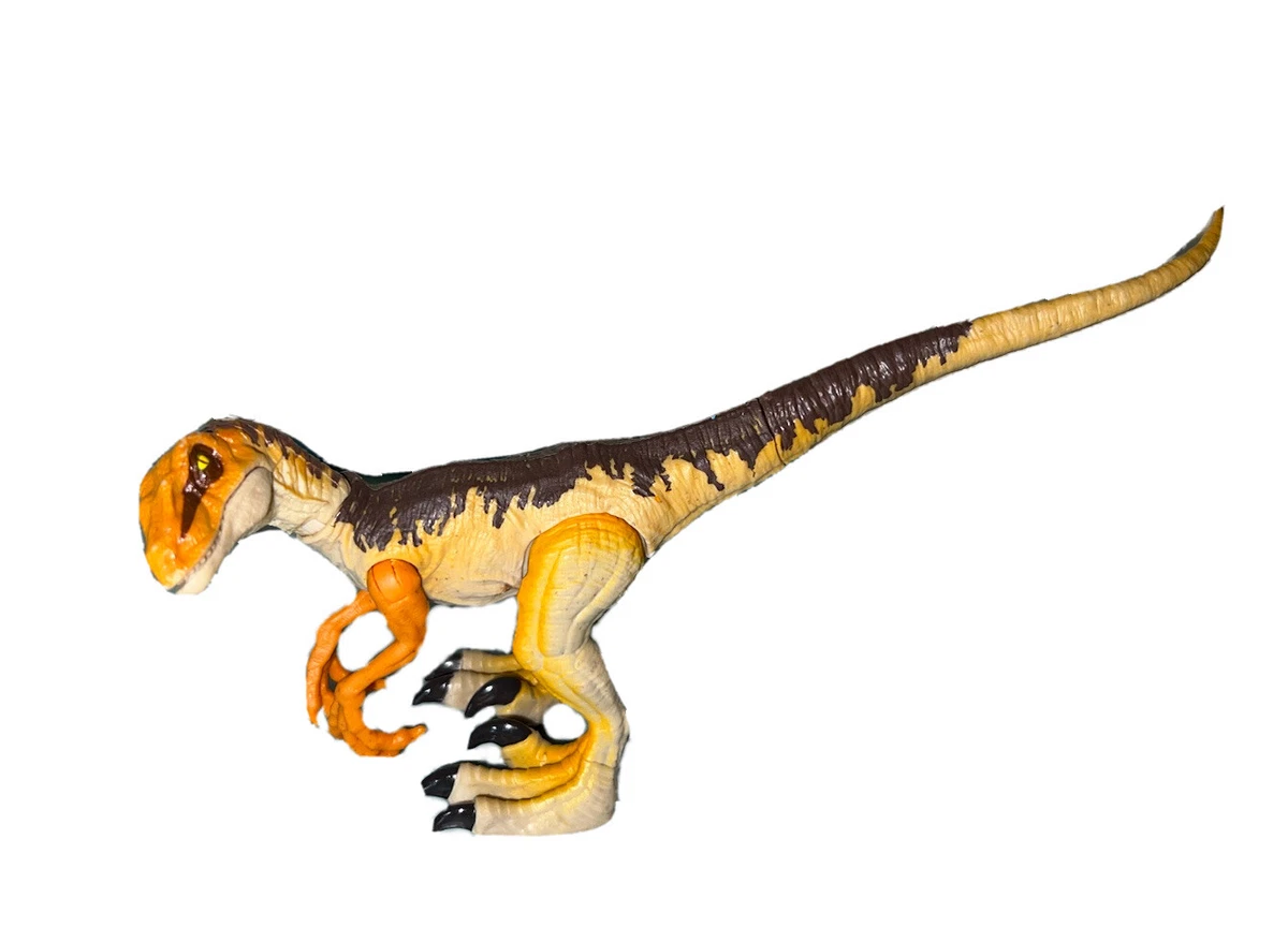 Jurassic World Legacy Collection Velociraptor Target Exclusive Orange  Chomping