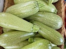 30  Seeds Summer Squash  Grey Zucchini Seeds  Organic NON - GMO  2025 Season