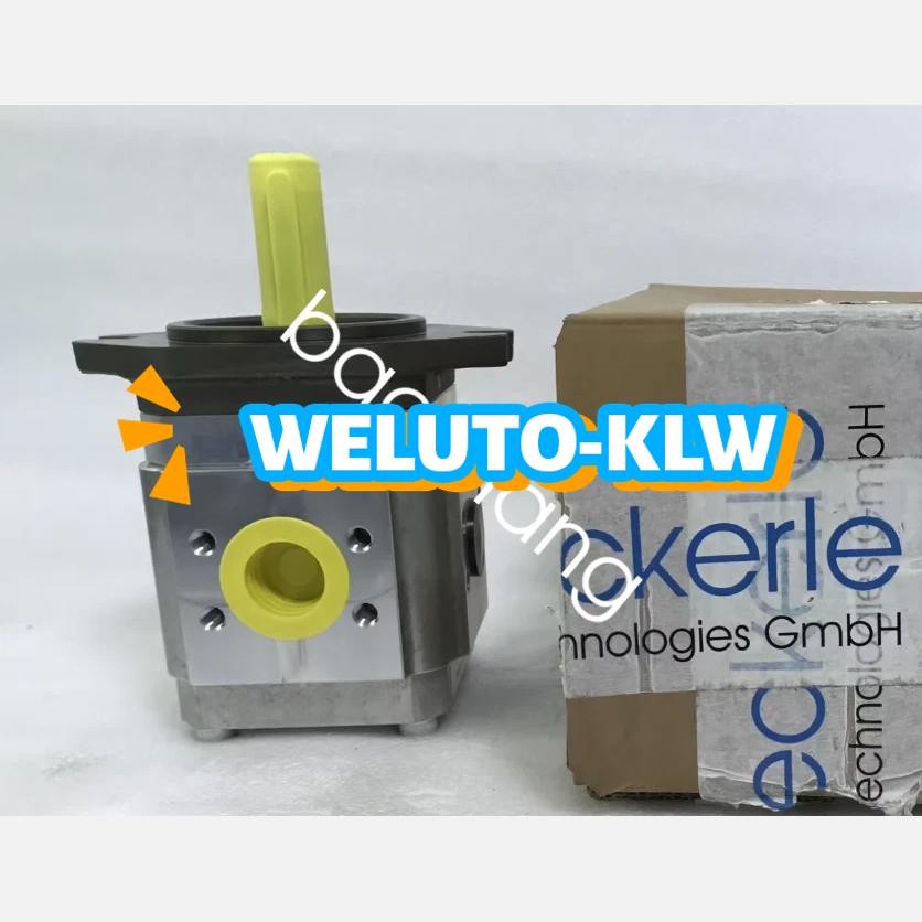 1pcs New ECKERLE Gear Pump EIPH3-025RK23-10 Shipping DHL or FedEX