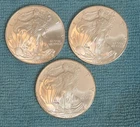 2010 American Silver Eagle (Lot Of 3)