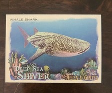 2021 Topps Allen & Ginter Deep Sea Shiver Insert #DSS-9 Whale Shark