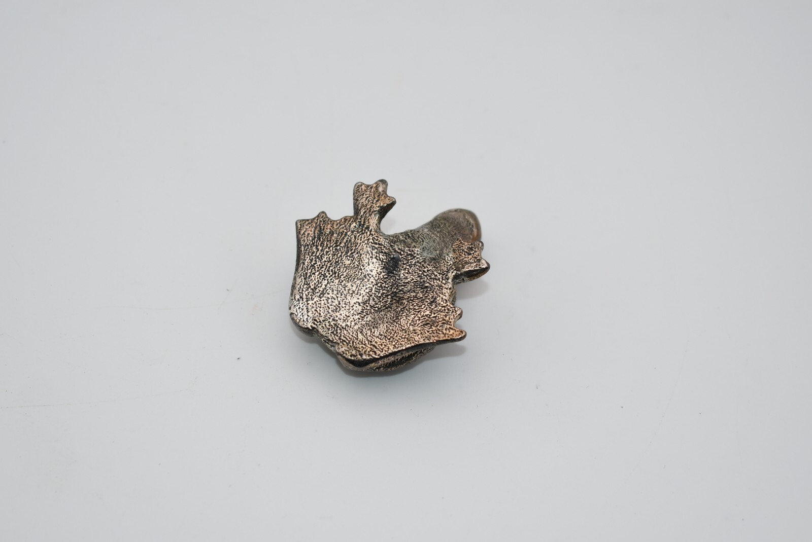 Picture 5 of 5