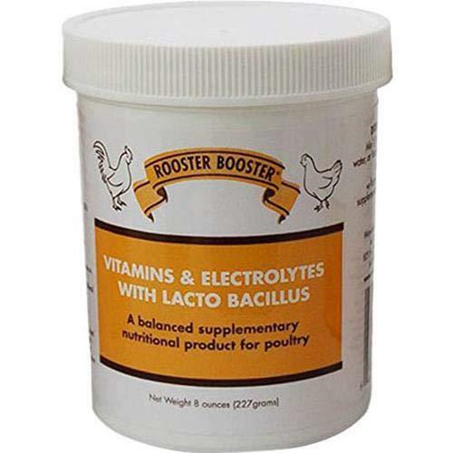 Gallo Booster Vitaminas y Electrolitos con Lactobacillus - Imagen 1 de 1