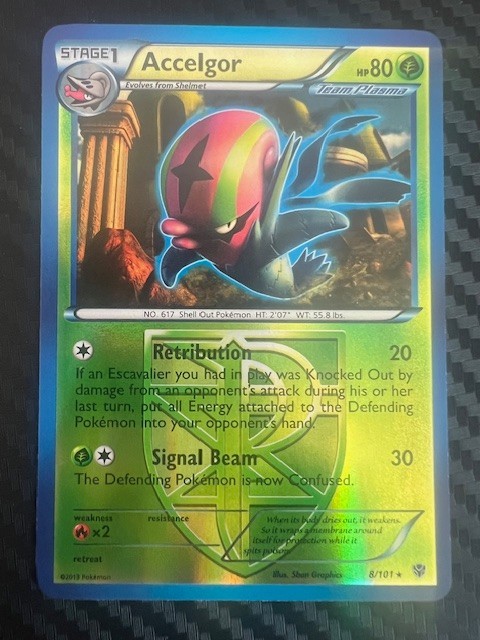 Pokémon TCG Accelgor Plasma Blast 8/101 Reverse Holo Rare LP