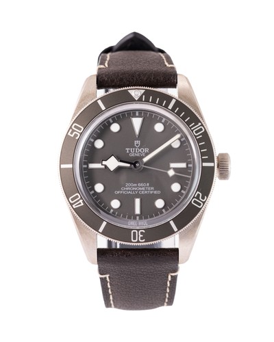 Tudor Black Bay 58 M79010SG