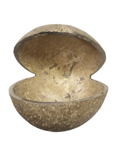 Coconut Shell Tissue/Serviette Holder for Hotel, Kitchen, Office Eco-Friendly - Picture 10 of 11