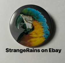 Blue And Gold Macaw Parrot Button Pin Pinback Badge