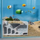 Bild 14 von 39
