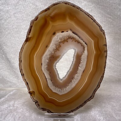 Achat Scheibe 15,7 cm x 12 cm Agate Slice Achatscheibe Agate