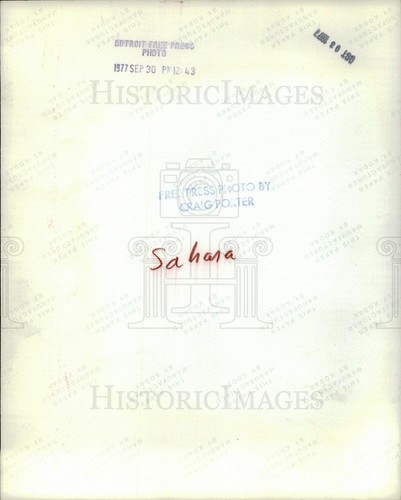 1977 Press Photo Sahara - dfpb20733 - Picture 2 of 2