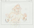 The Twelve Kingdoms Juuni Kokki Genga Douga Original Sketches Pierrot - Aozaru — photo 1