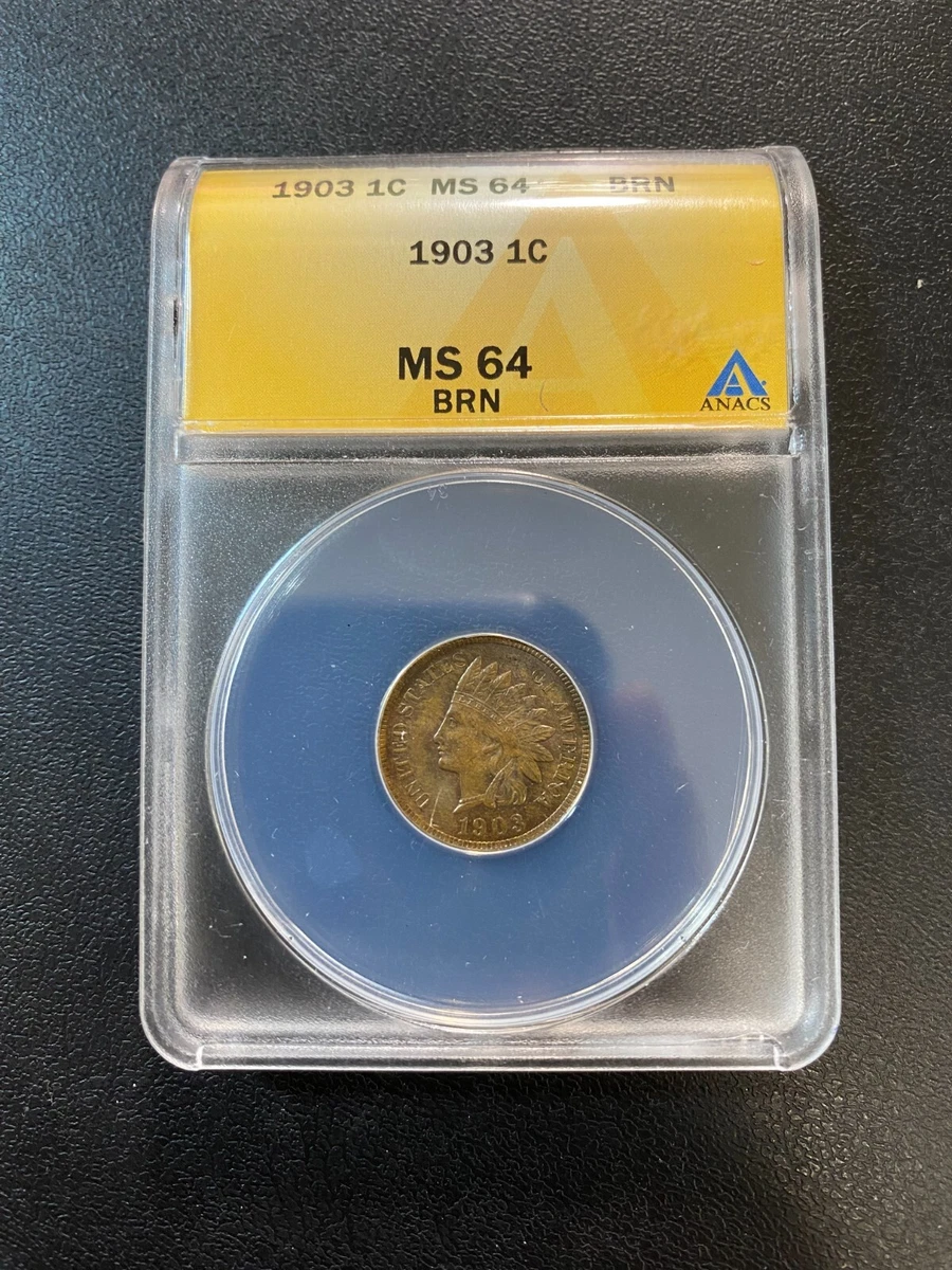 MS 64 Graded 1903 Year Indian Head Small Cents (1859-1909) for