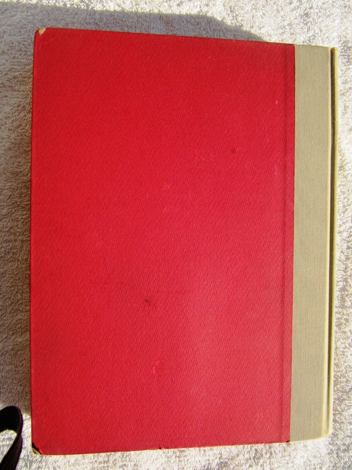 Picture 5 of 5