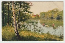 A Swim in a Lake in Switzerland - Art - Painting - Postcard - New - 1950's - NM