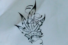 Fish Meal Organic Plant Food 5 dollars a pound