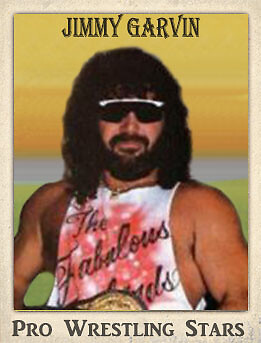 2021 LJACards "Pro Wrestling Stars" History of Wrestling Trading Cards ACEO - Picture 13 of 25