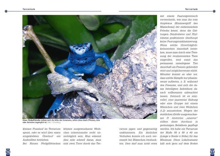 Thumbnail - Der Blaue Pfeilgiftfrosch | Dendrobates Azureus | Tobias Eisenberg |