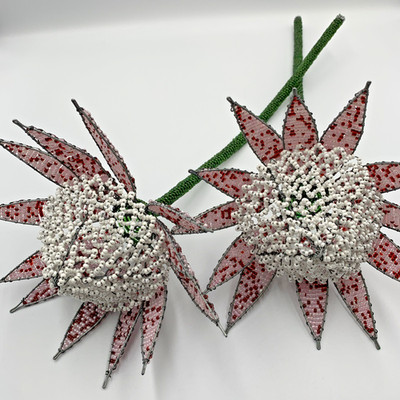 2 South African wire beaded Protea Flower Handmade 16'' white, red, pink, green